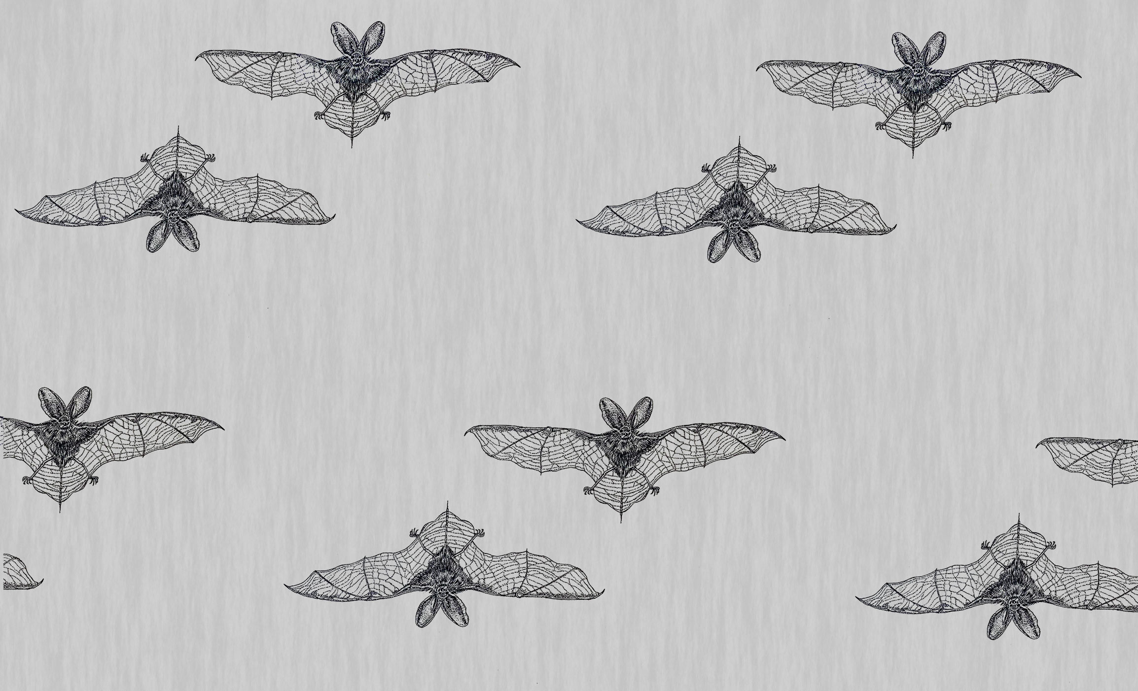 Hand drawn wallpaper design featuring BATS