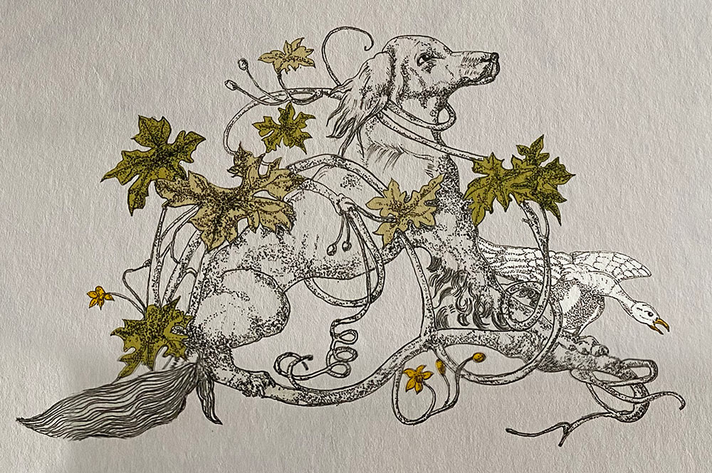 Dog and vine