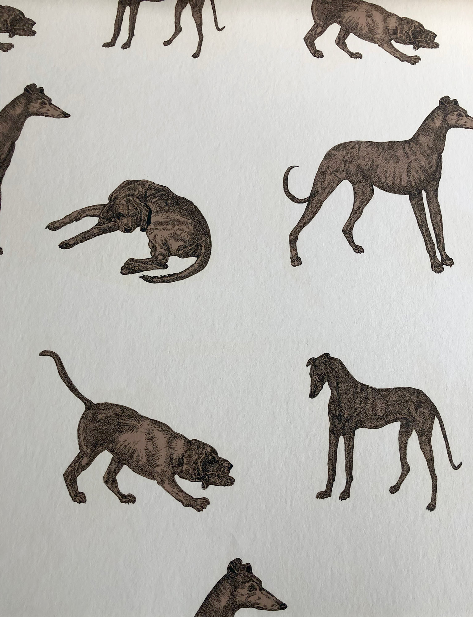 Dogs design in wallpaper