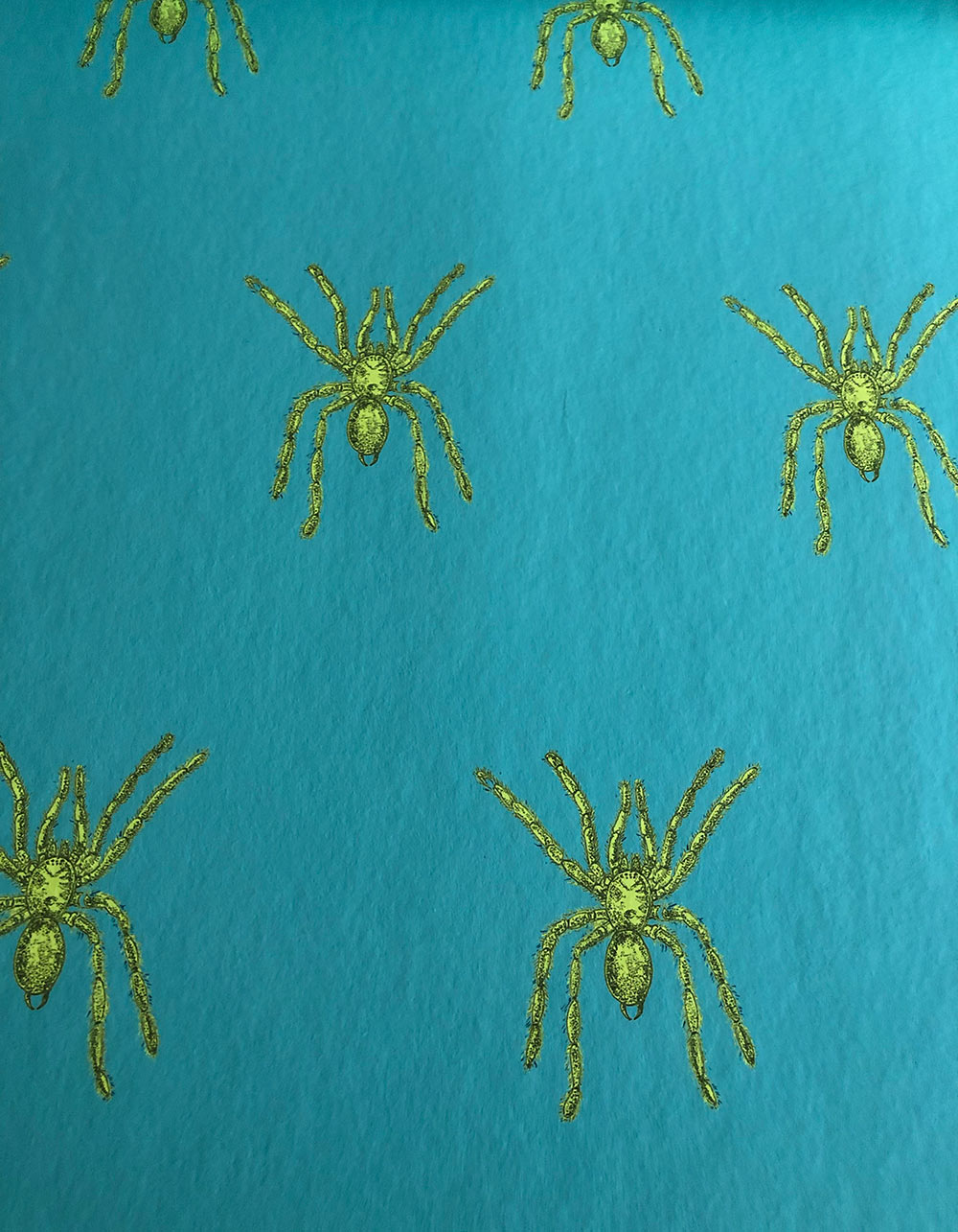 Spiders wallpaper design
