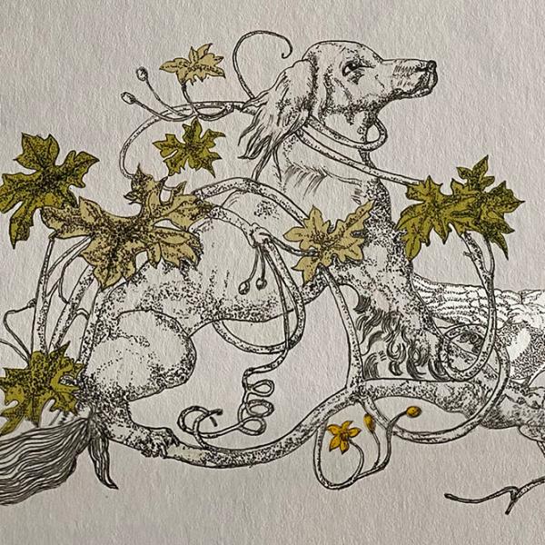 Dog and vine